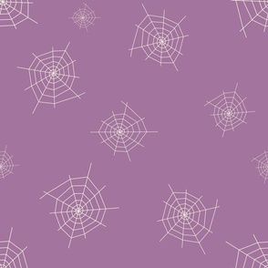 Spider web on purple