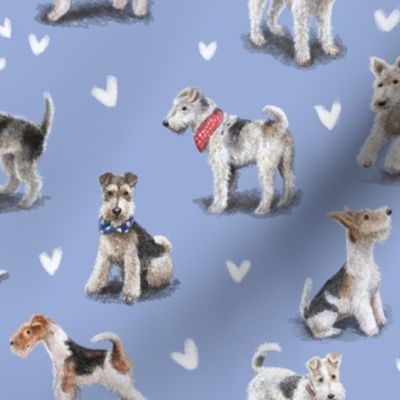 Fox Terriers in Blue