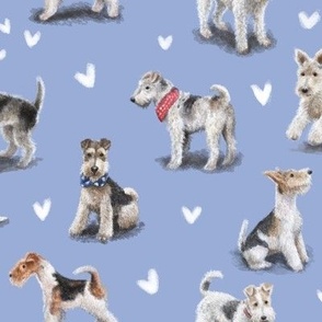 Fox Terriers in Blue