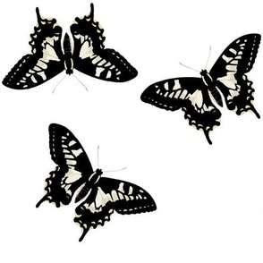 Butterflies 2 White