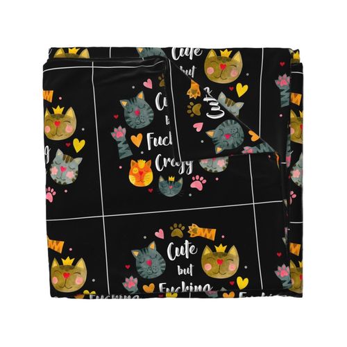 18x18 Panel Cute But Fucking Crazy Adult Sarcastic Humor Funny Cats on Black for DIY Throw Pillow Cushion Cover or Tote Bag