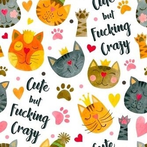 Large Scale Cute But Fucking Crazy Adult Sarcastic Humor Funny Cats on White