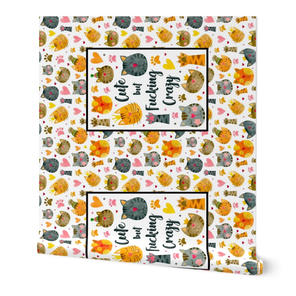 Large 27x18 Panel Cute But Fucking Crazy Adult Sarcastic Humor Funny Cats on White for Wall Hanging or Tea Towel