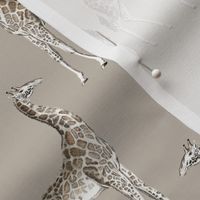 giraffe damask taupe #c1b8ab