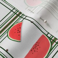 Watermelon slices and seeds
