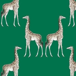 giraffe damask green  #00714b