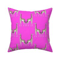 giraffe damask pink #fb51e5