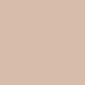 Sheer Pastel Beige Pink Solid Color Single Accent Shade / Hue Coordinates w/ Sherwin Williams Classic Sand SW 0056