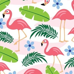 Flamingos in paradise