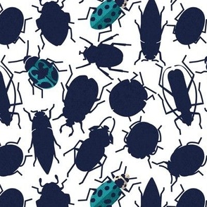 Small scale // Sneaky bugs // white background oxford blue and peacock blue beetles