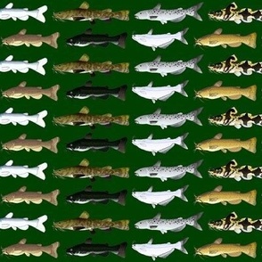 8 North American Catfish on forest dark green