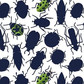 Small scale // Sneaky bugs // white background oxford blue and green beetles