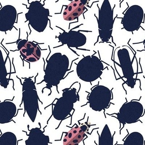 Small scale // Sneaky bugs // white background oxford blue and pink beetles