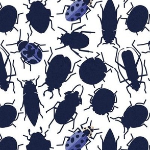 Small scale // Sneaky bugs // white background oxford blue and electric blue beetles