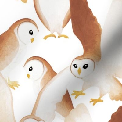 Barn Owls - on white 
