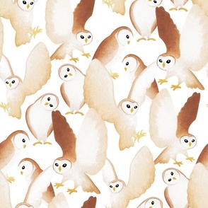 Barn Owls - on white 
