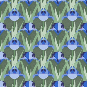 Irises, blue