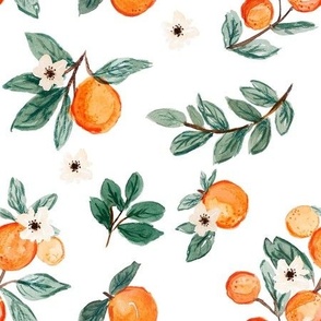 Citrus Oranges