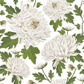 Watercolour Chrysanthemums White
