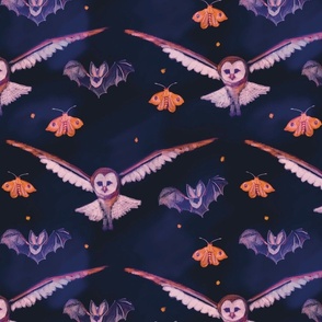 Nocturnal Animals v6 Owl, Bat, Moth