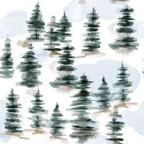 Calm Pine Forest