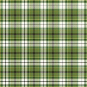 Nature Trail Plaid - Green Small Scale
