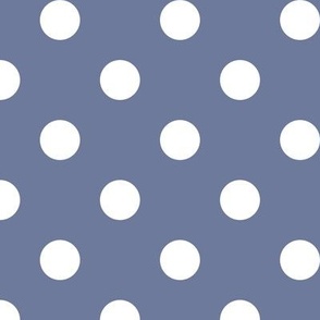 Big Polka Dot Pattern - Stonewash Grey and White