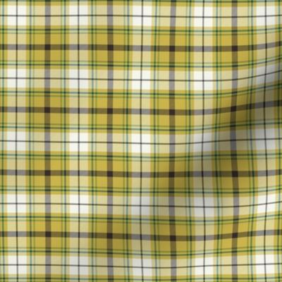 Nature Trail Plaid - Citron Yellow Small Scale