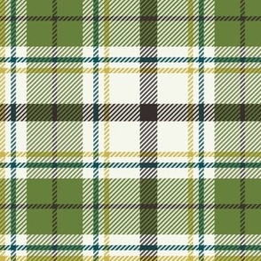 Nature Trail Plaid - Ivory Green Large Scale