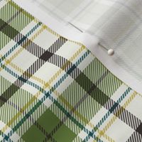 Nature Trail Plaid - Ivory Green Regular Scale