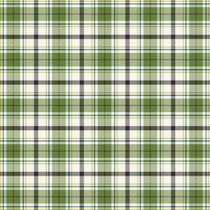 Nature Trail Plaid - Ivory Green Small Scale