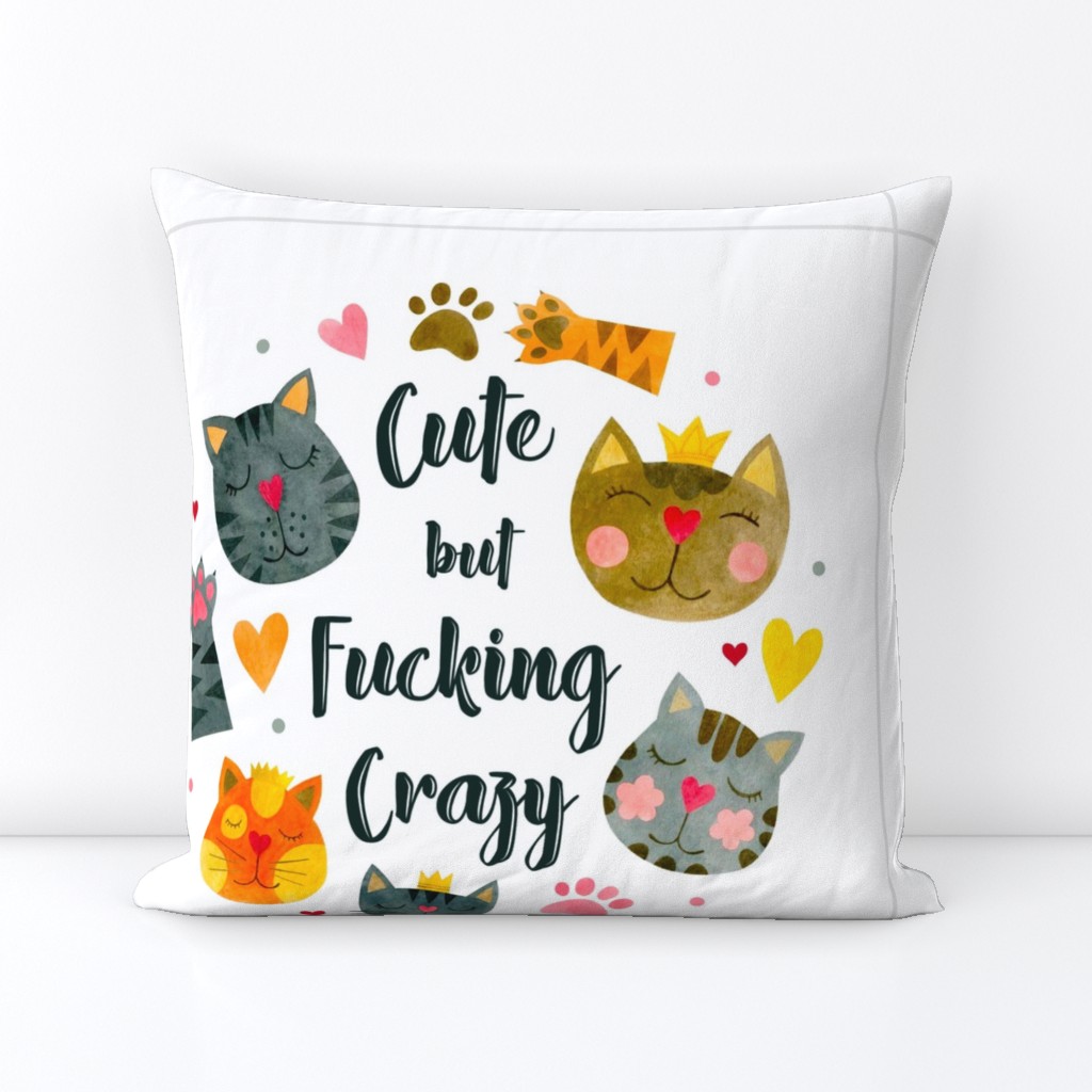 18x18 Panel Cute But Fucking Crazy Adult Sarcastic Humor Funny Cats on White for DIY Throw Pillow Cushion Cover or Tote Bag