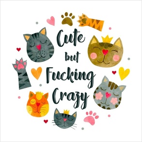 18x18 Panel Cute But Fucking Crazy Adult Sarcastic Humor Funny Cats on White for DIY Throw Pillow Cushion Cover or Tote Bag