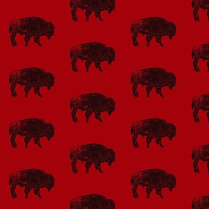 Bison Red and Black