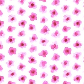 Watercolor Flowers in Pink