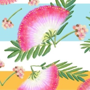 Pink Mimosa Plumes on Aqua, White,  Orange Stripes