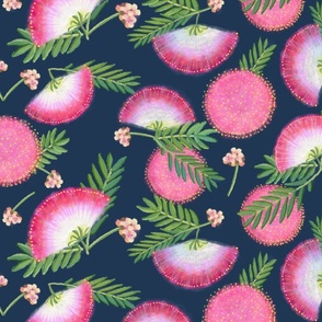 Scattered Pink Mimosa Plumes on Navy