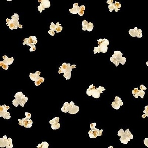Tossed Popcorn on Black