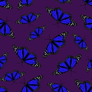 blue butterflies on purple