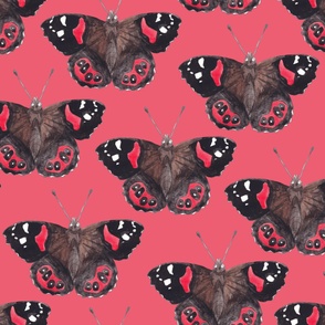 NZ Native Butterflies Co-Ordinate - Red Admiral on Dark Pink - Large Scale