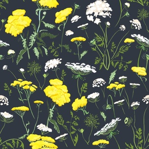Yellow Yarrow And Queen Anne's Lace