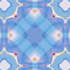 Blue Plaid Starburst