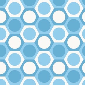 Blue & White Hexagons