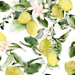 Large / Lemons and Flower Blossoms