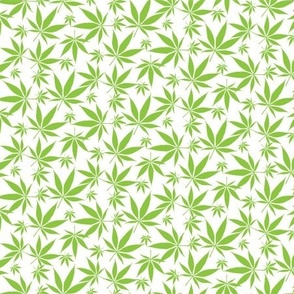 Cannabis leaves - lime on white small