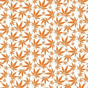 Cannabis leaves - orange on white small