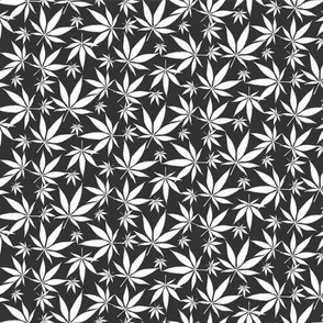 Cannabis leaves - white on dark grey small