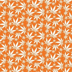 Cannabis leaves - white on orange small
