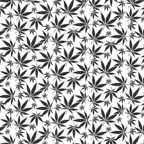Cannabis leaves - dark grey on white small