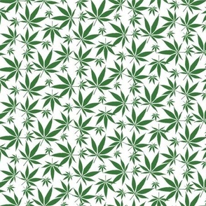 Cannabis leaves - green on white small